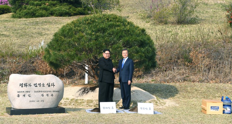 41692774632_fc2305c177_k