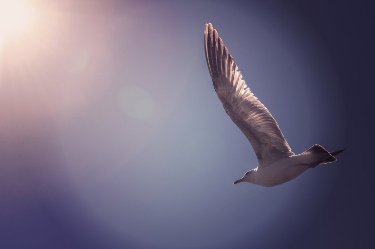 tim-mossholder-666762-unsplash