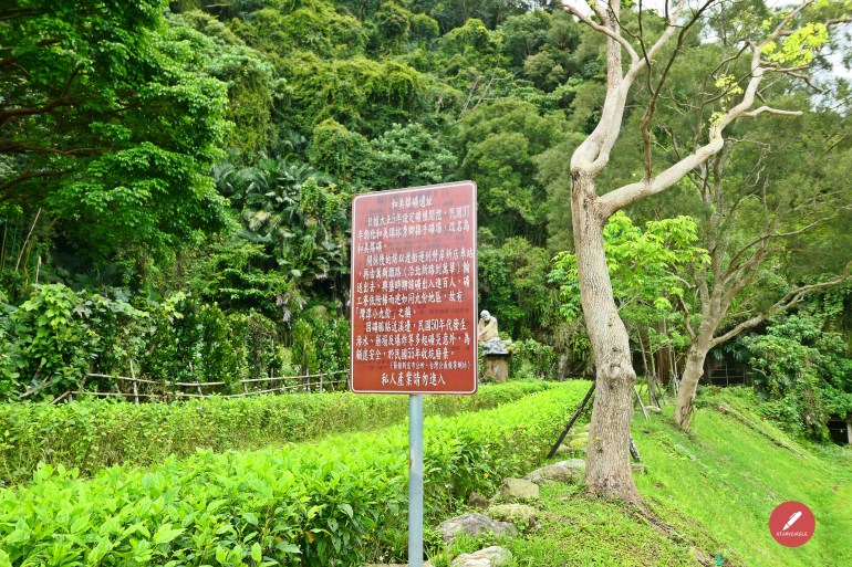 P1110557
